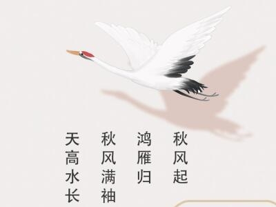 白露